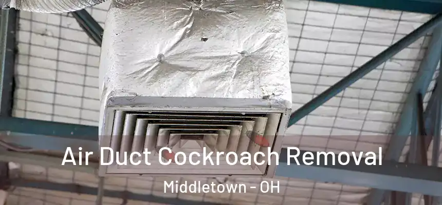 Air Duct Cockroach Removal Middletown - OH