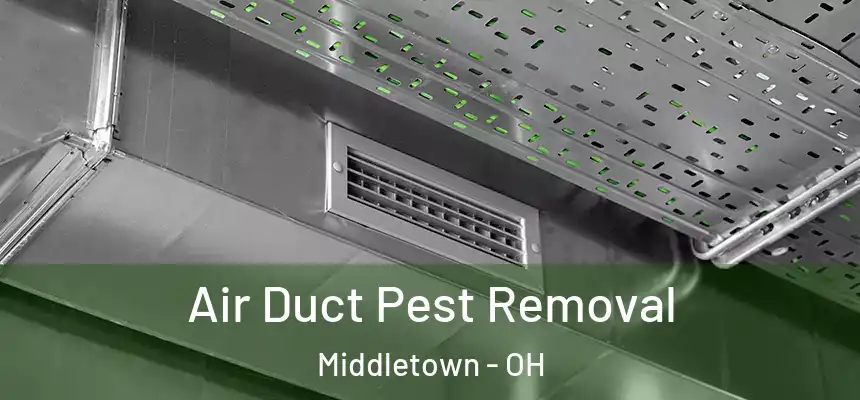 Air Duct Pest Removal Middletown - OH
