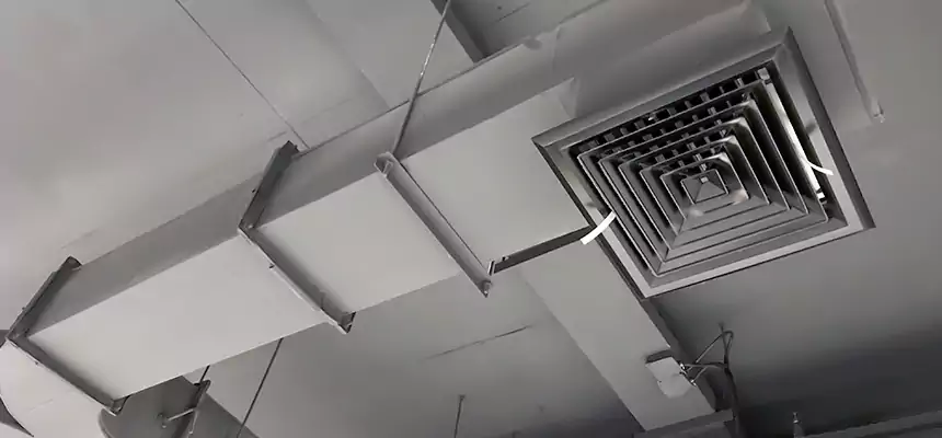 Restorative Allergy Relief Vent Cleaning – Coil, Blower & Housing Detail in Middletown