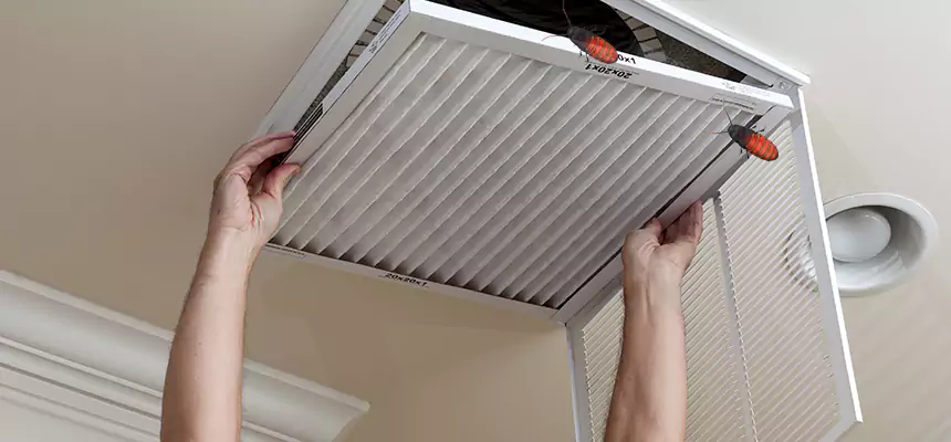 Our Insect Removal from Air Ducts Services in Middletown, OH