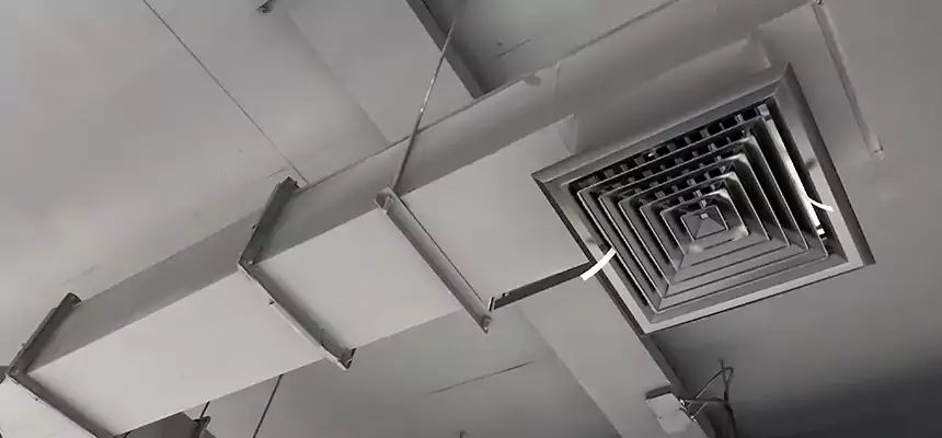 Our Rodent Droppings In Vents Services in Middletown, OH