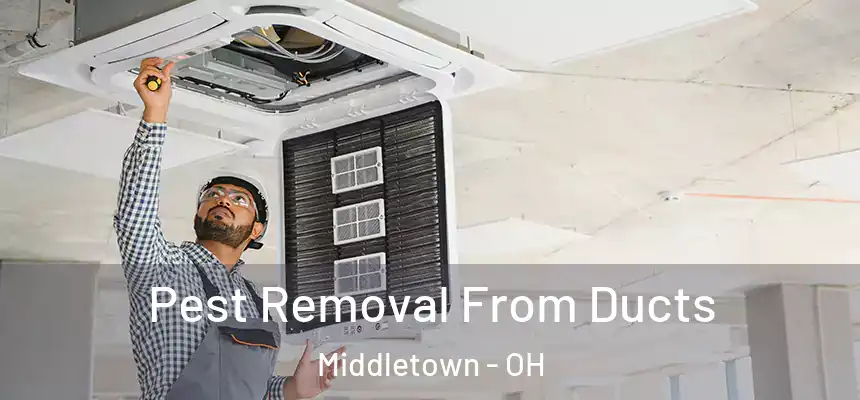  Pest Removal From Ducts Middletown - OH
