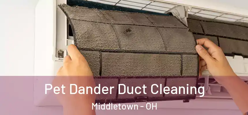 Pet Dander Duct Cleaning Middletown - OH