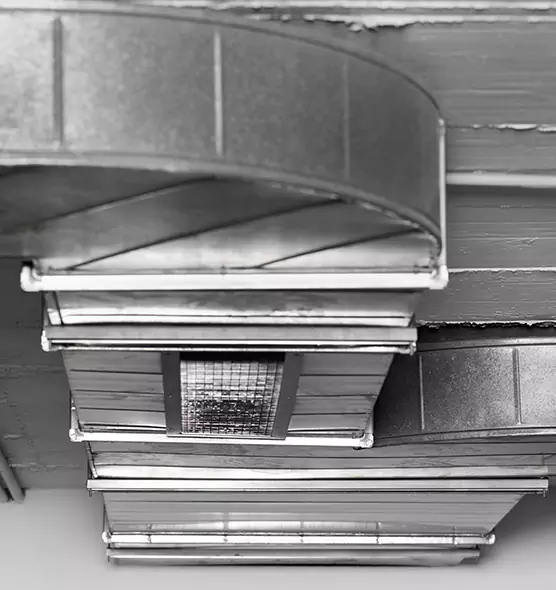 Professional Air Duct Pest Removal in Middletown, OH