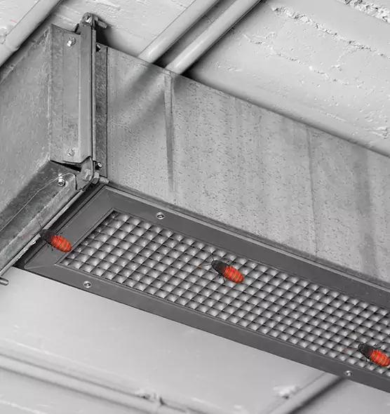 Affordable Insect Removal from Air Ducts in Middletown, OH