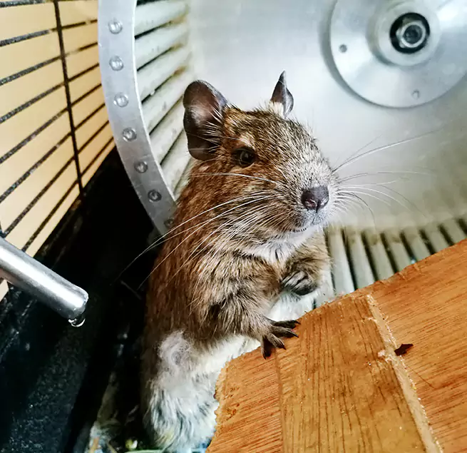 Why Homeowners & Businesses Trust Us Middletown, OH?